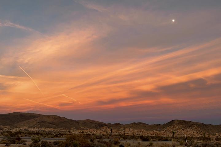 HOW TO SPEND ONE DAY IN JOSHUA TREE