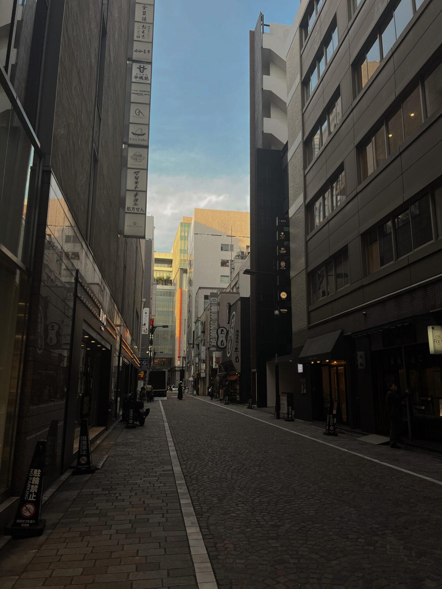 Imperial Hotel Tokyo Review Ginza